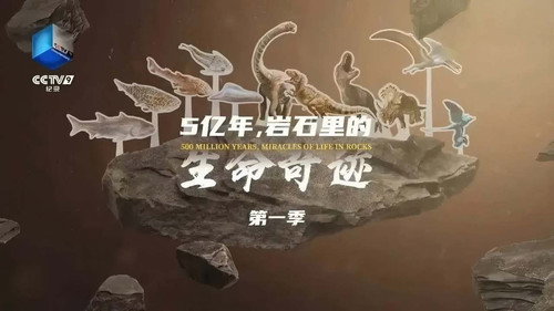 5亿年，岩石里的生命奇迹 - Season 1 Backdrop Blur
