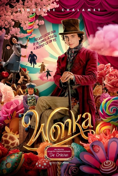 Poster pentru Wonka