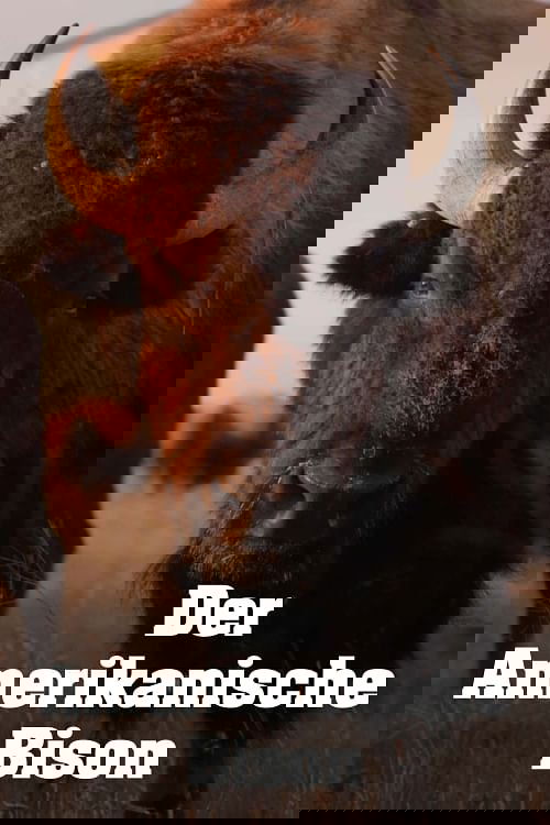 Escena 5 de The American Buffalo