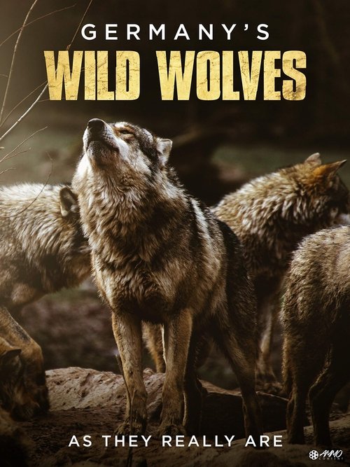 Germany's Wild Wolves - As They Really Are movie poster player
