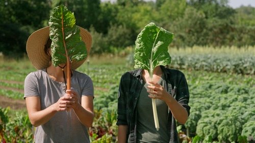 Moi j'mange, S03E13 - (2021)