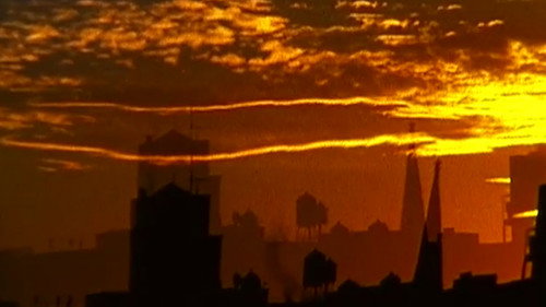 Forever and Sunsmell