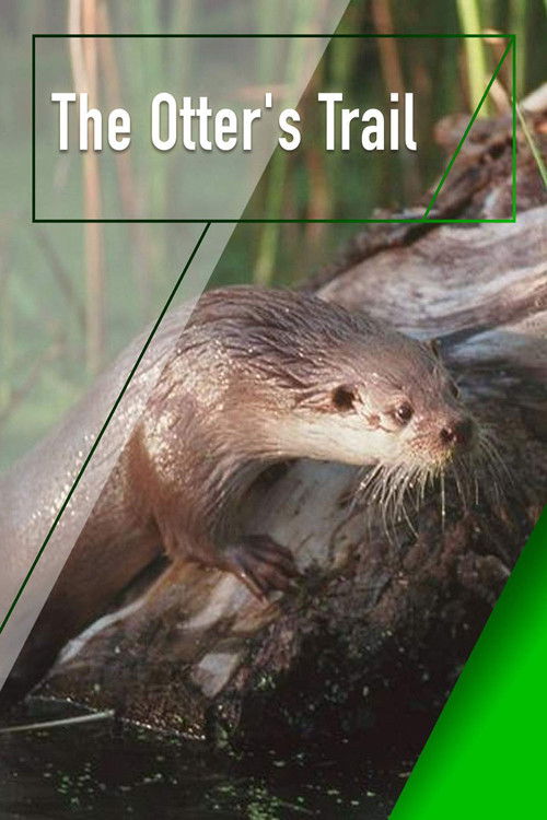 The Otter's Trail