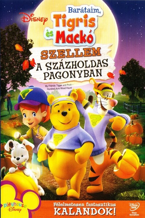 Barátaim, Tigris és Mackó: Szellem a Százholdas Pagonyban movie poster player
