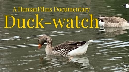 Duck-Watch