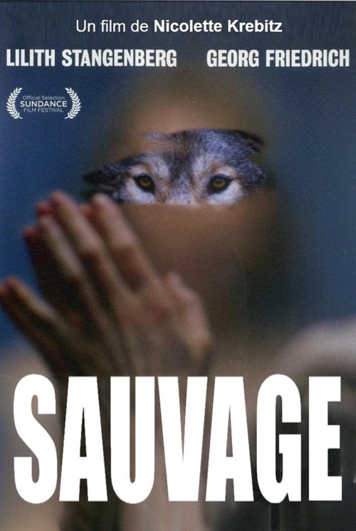 Sauvage poster