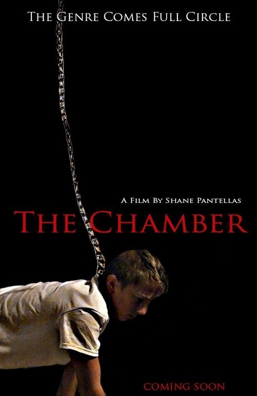 The Chamber movie poster player