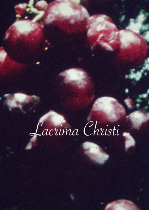 Lacrima Christi poster