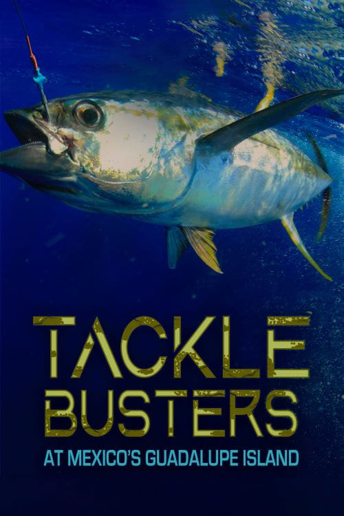 Tackle Busters at Mexico's Guadalupe Island