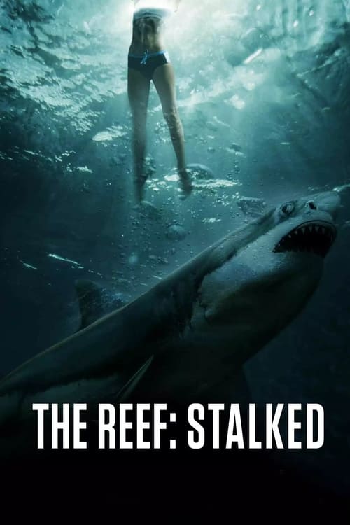 Grootschalige poster van The Reef: Stalked