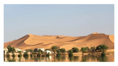 Sahara : conflit ensablé ?