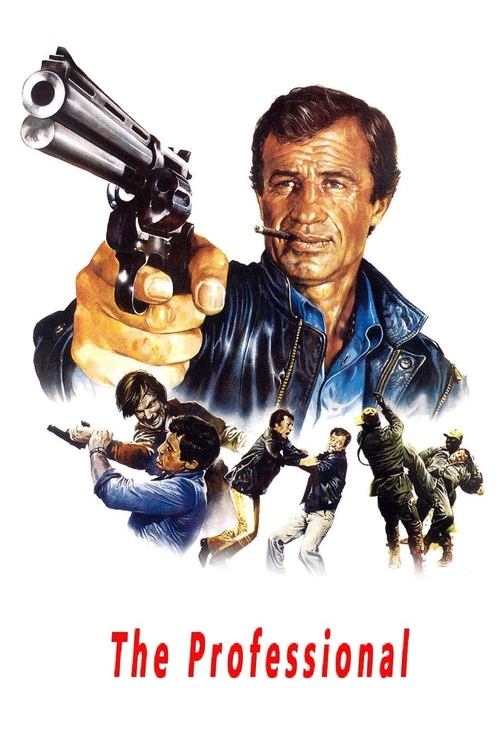 Poster Le Professionnel 1981