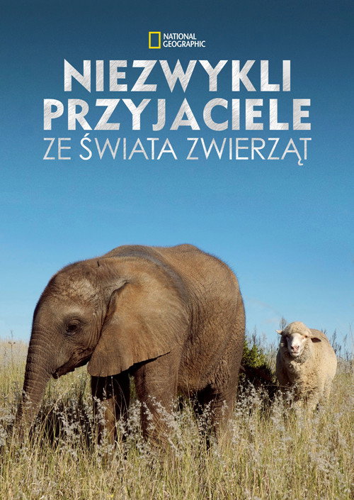 Plakat: Niezwykli przyjaciele ze świata zwierząt