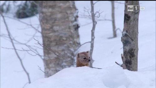 Image de l'épisode 6