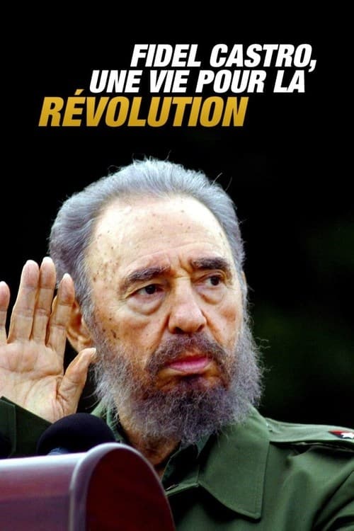 Fidel Castro, une vie pour la révolution (2004)