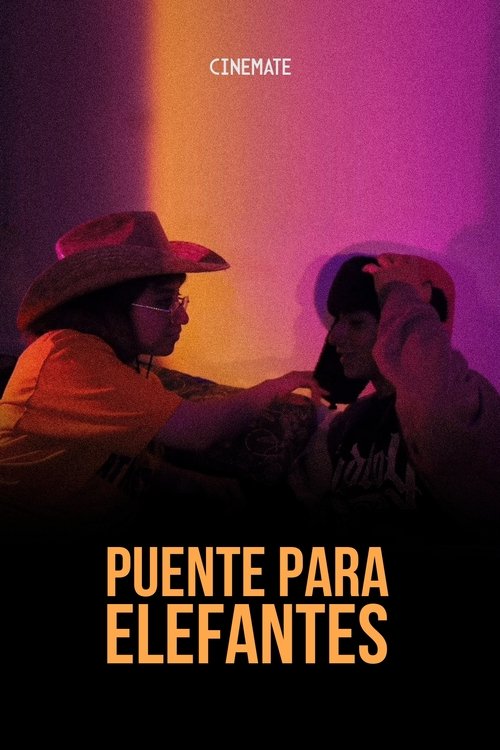 Poster image du film Puente Para Elefantes Puente Para Elefantes