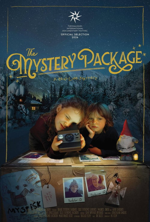 The Mystery Package poster