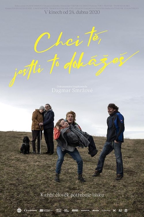 Chci tě, jestli to dokážeš movie poster player