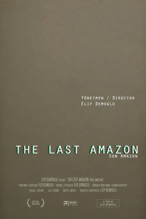 Son Amazon poster
