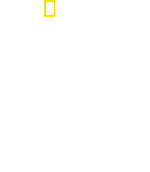Stanley Tucci : Cuisine à l'italienne