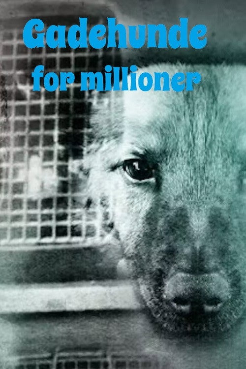 Gadehunde for millioner still 1