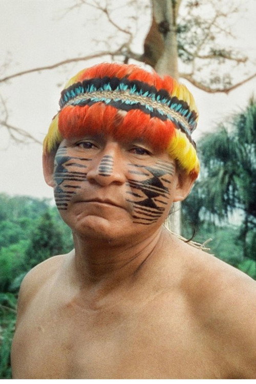 Póster oficial de I am the nature (2023)
