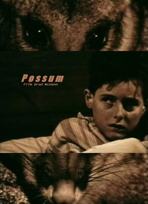 Possum 1997