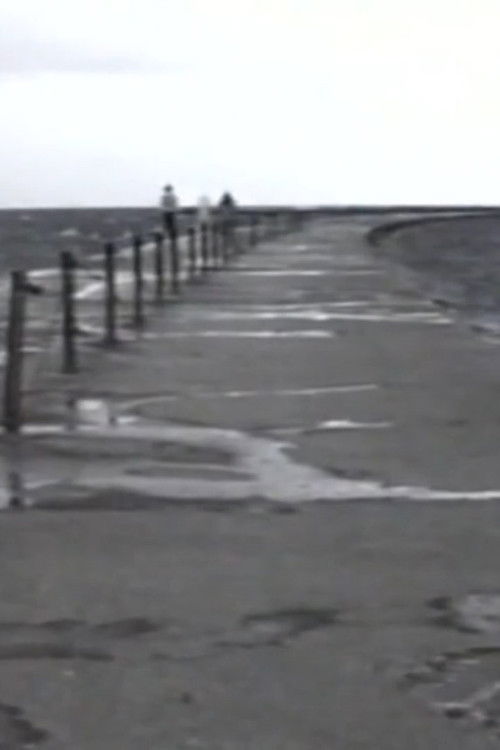 Without Fear Of Vertigo (1987) poster