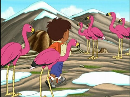 Go, Diego, Go!, S03E15 - (2011)