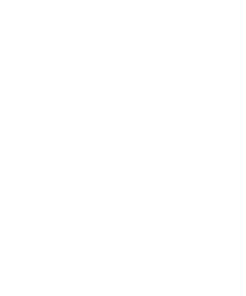 The Diary of a Chambermaid