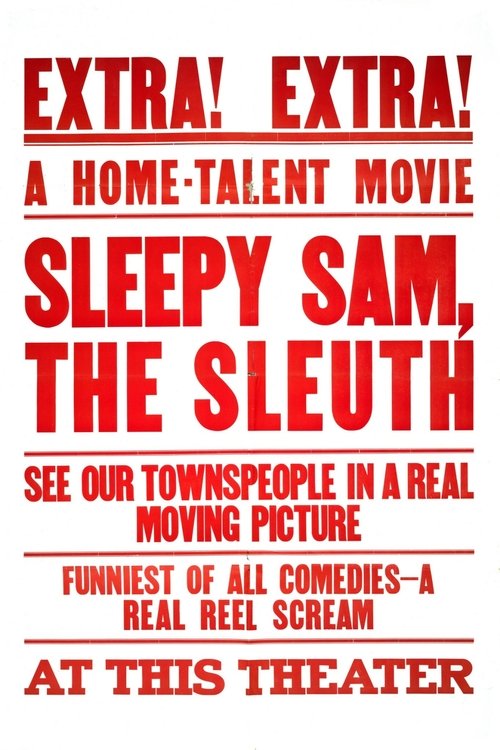 Sleepy Sam, the Sleuth poster