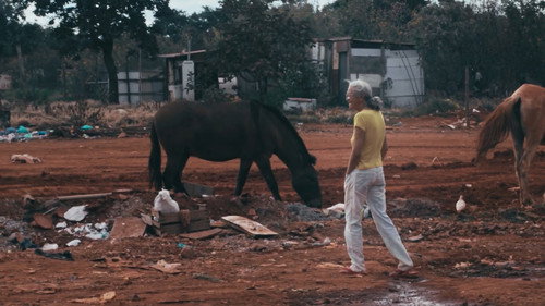Maluco Voador: Além do Som