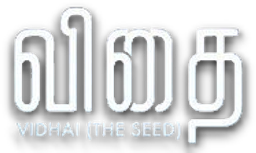 விதை