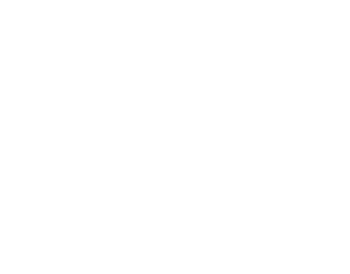 Three Little Pigs