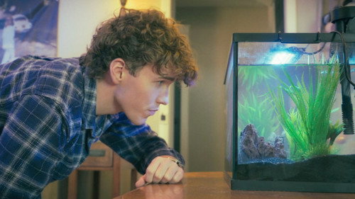 The Fishsitter — Fundos 7