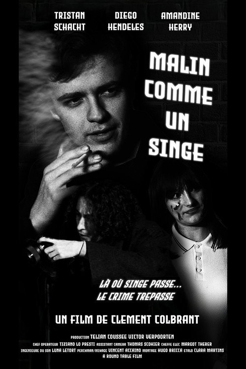 Malin comme un singe still 2
