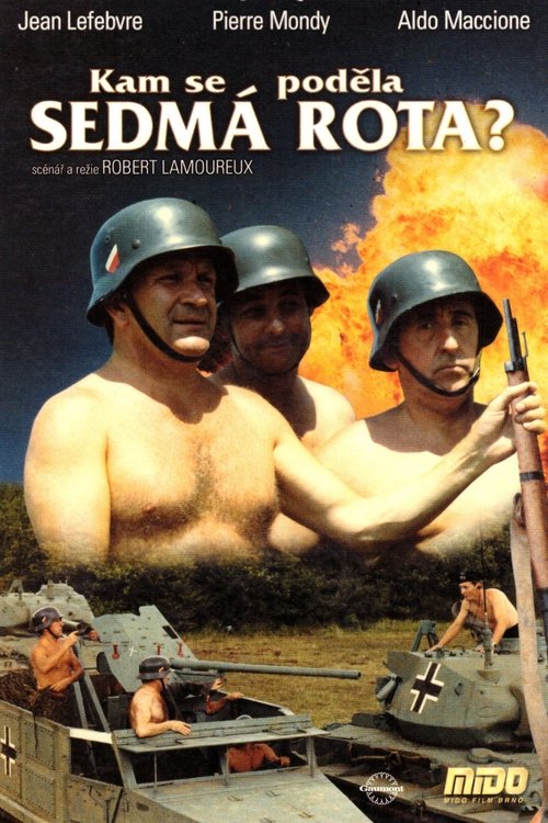 Kam se poděla sedmá rota? movie poster player