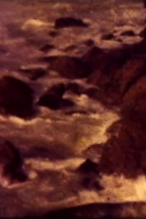 Last Whole Earth Catalog movie poster player