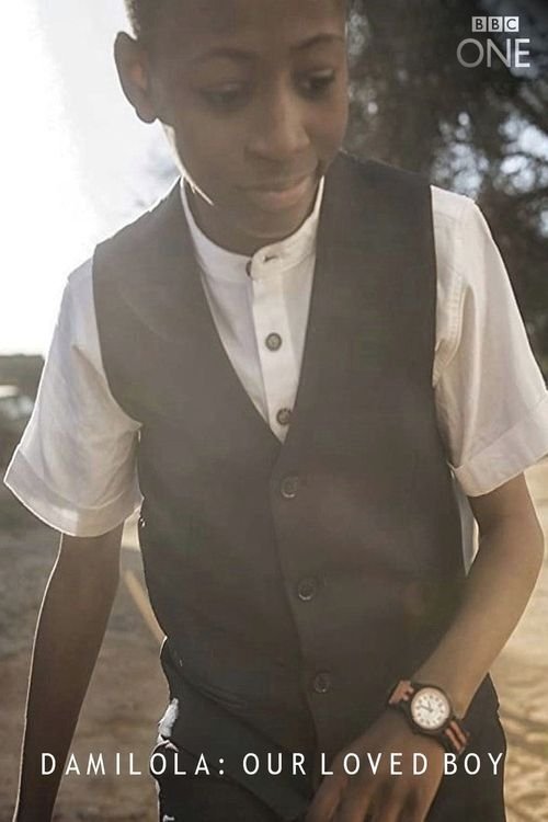 Damilola, Our Loved Boy movie poster player