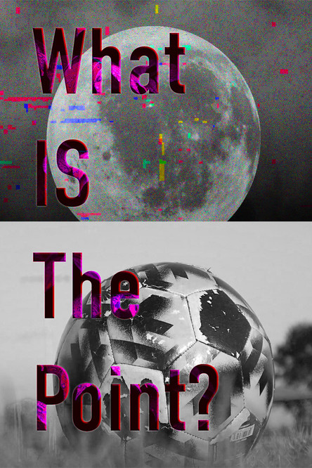 What is the Point? poster