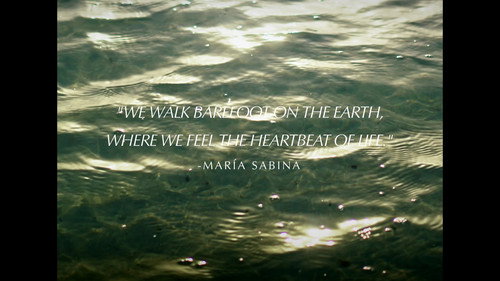 The Authentic and True Amazonas of Yaxunah