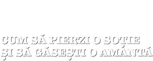 How to Lose a Wife and Find a Lover logo