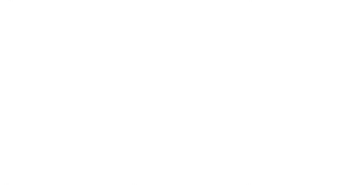 Bios, vidas que marcaron la tuya: Aterciopelados