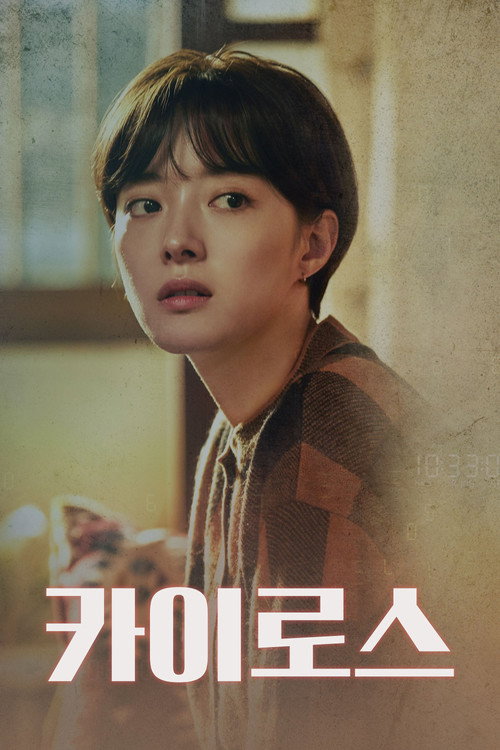 Poster (Koreanisch)