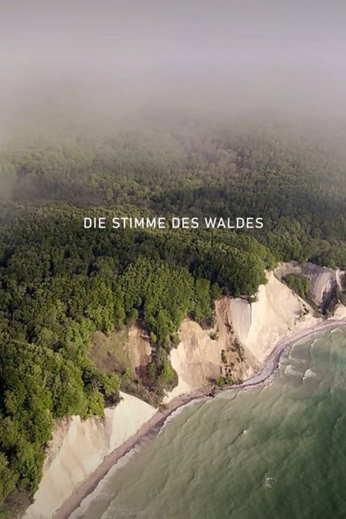 Die Stimme des Waldes