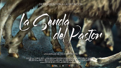 La Senda del Pastor Backdrop Blur