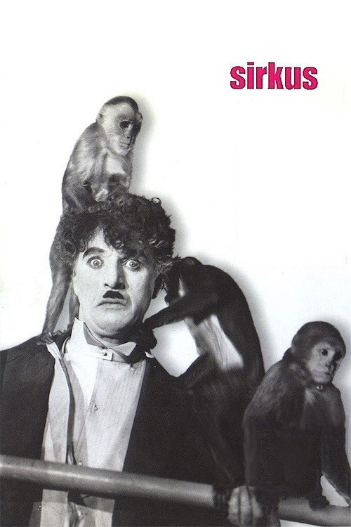 Sirkus