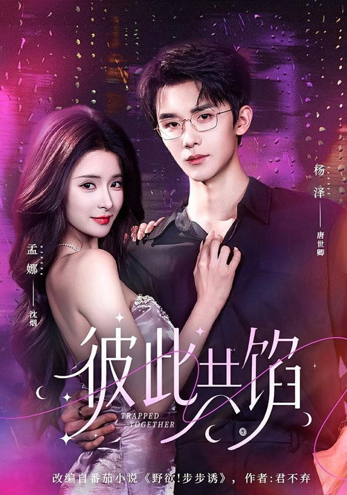 Poster for 彼此共馅