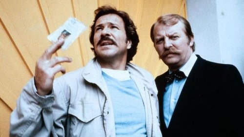 Escena del episodio 3 de la temporada 16 de la serie Tatort