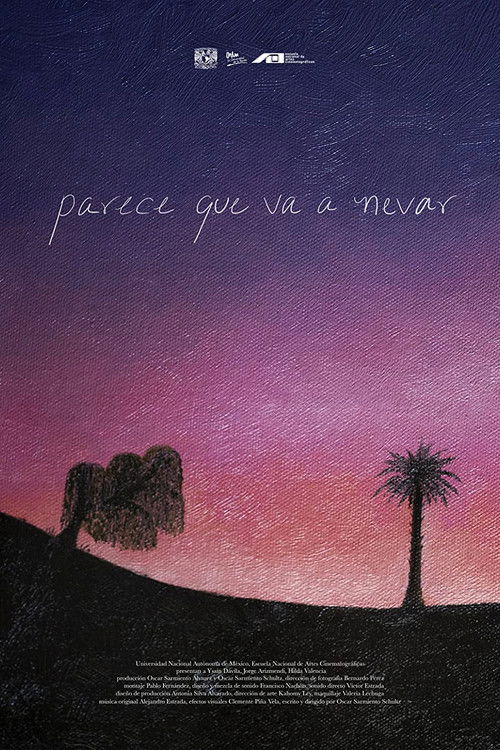 Parece que va a nevar poster